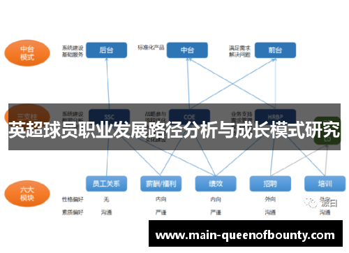 英超球员职业发展路径分析与成长模式研究