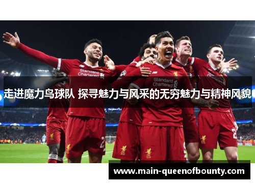 走进魔力鸟球队 探寻魅力与风采的无穷魅力与精神风貌
