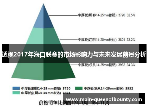 透视2017年海口联赛的市场影响力与未来发展前景分析