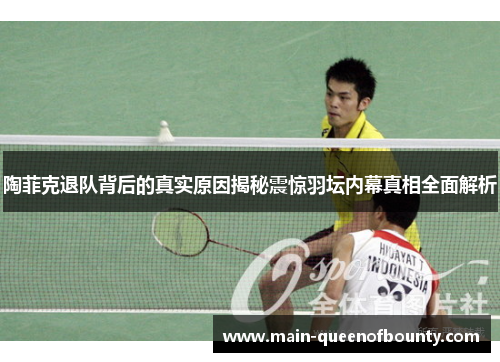 陶菲克退队背后的真实原因揭秘震惊羽坛内幕真相全面解析