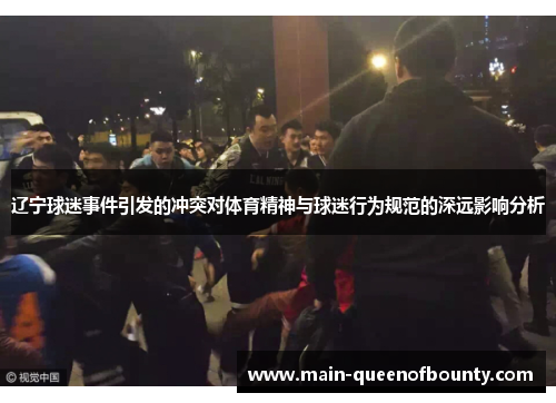 辽宁球迷事件引发的冲突对体育精神与球迷行为规范的深远影响分析