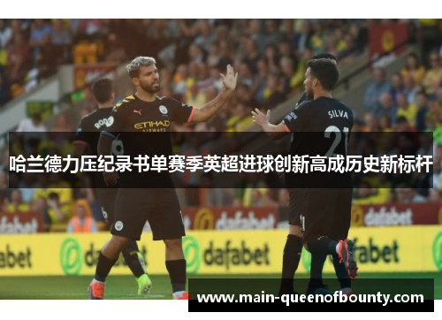 哈兰德力压纪录书单赛季英超进球创新高成历史新标杆