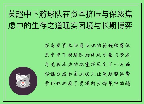 英超中下游球队在资本挤压与保级焦虑中的生存之道现实困境与长期博弈